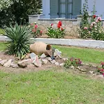 Rosa Troulos
