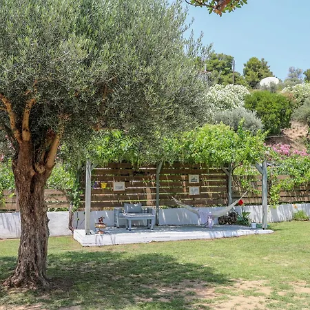 Rosa Apartahotel 4*