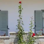Aparthotel Rosa