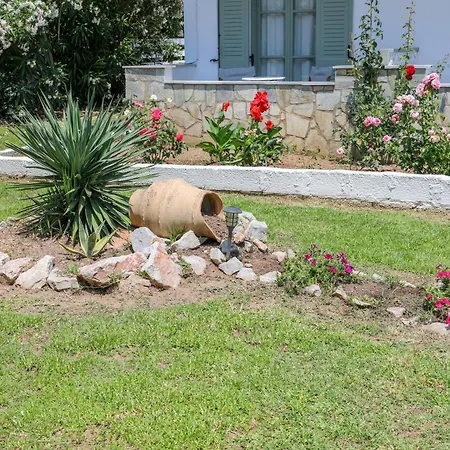 Rosa トロウロス