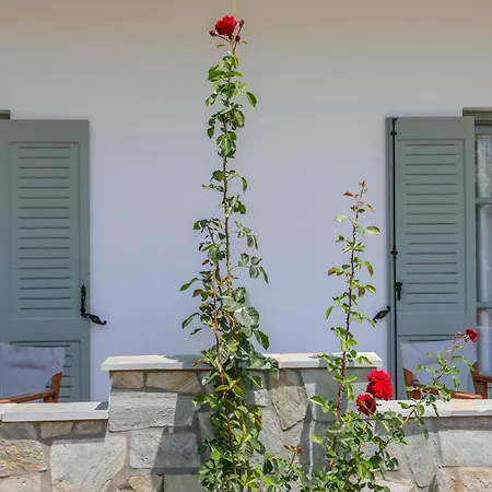 Hotel apartamentowy Rosa